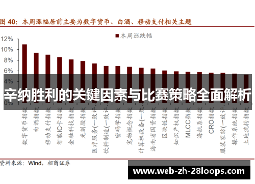 辛纳胜利的关键因素与比赛策略全面解析