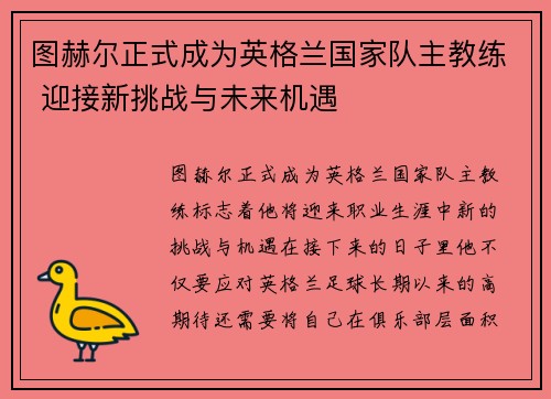 图赫尔正式成为英格兰国家队主教练 迎接新挑战与未来机遇